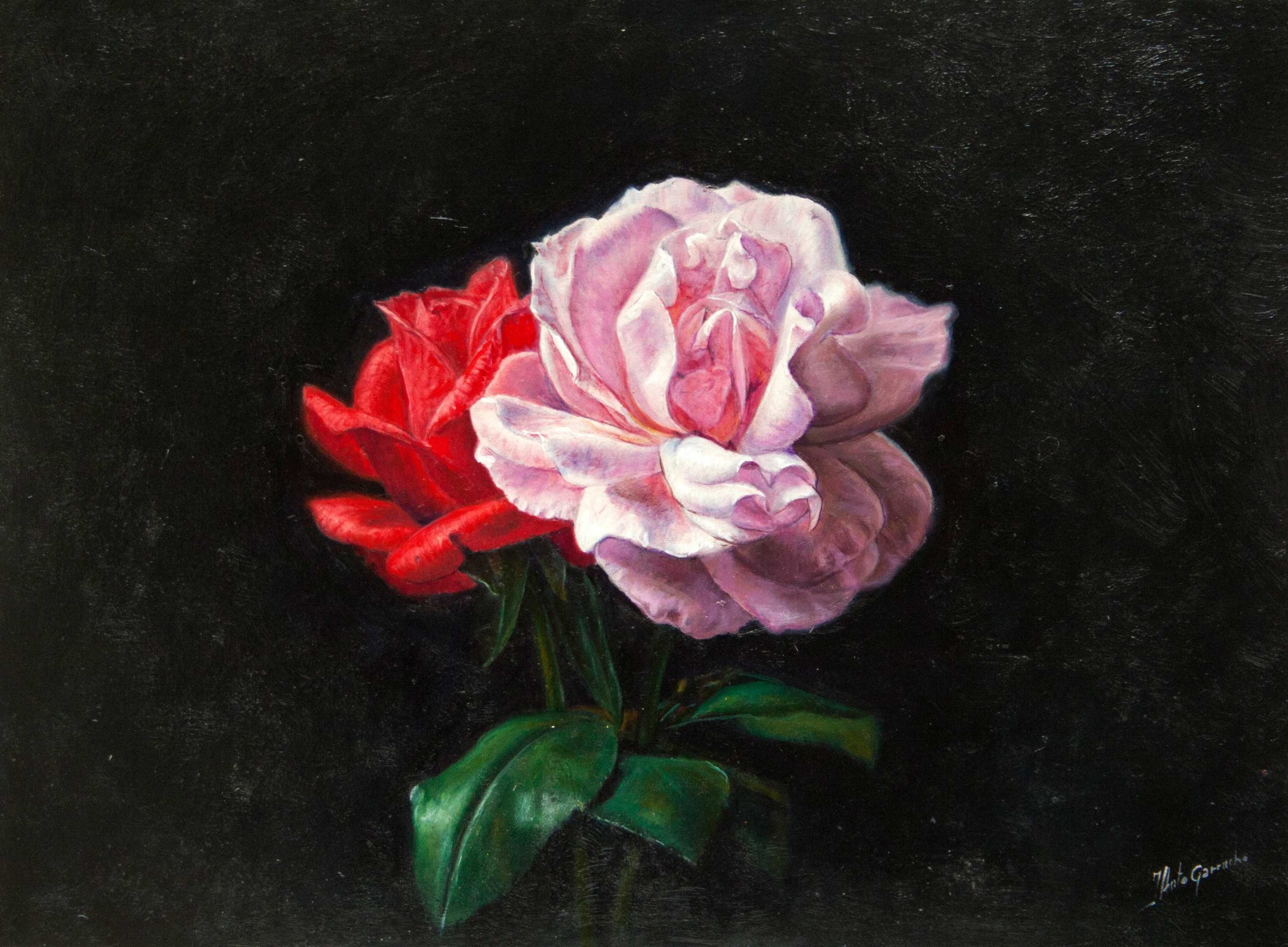Dos rosas
